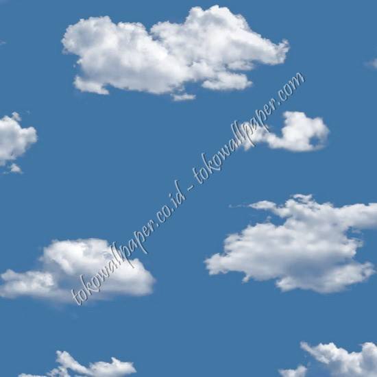 TERRA TRA649
Wallpaper